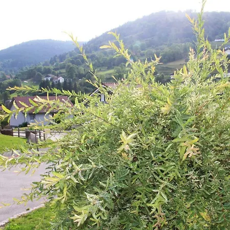 Holiday home Les Cimes La Bresse