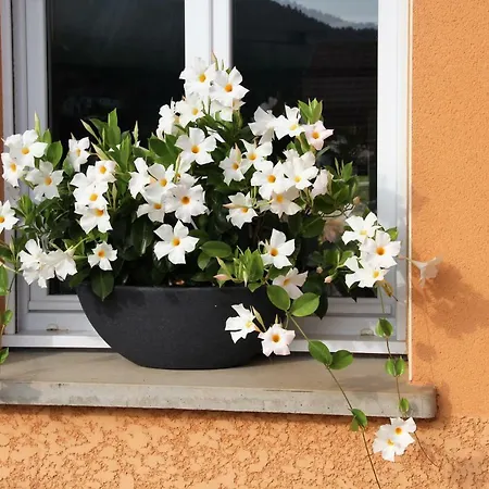 Holiday home Les Cimes La Bresse