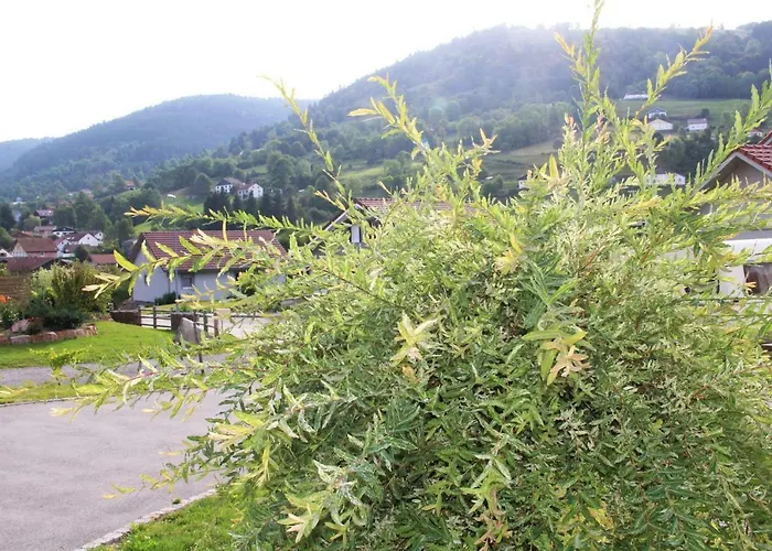 度假居 Les Cimes 拉布雷斯