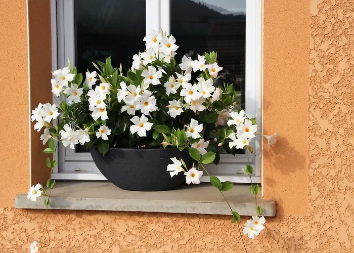 度假居 Les Cimes 拉布雷斯